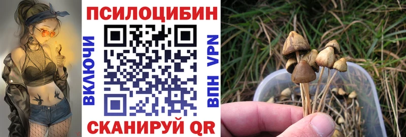 omg как войти  Ревда  Галлюциногенные грибы GOLDEN TEACHER 